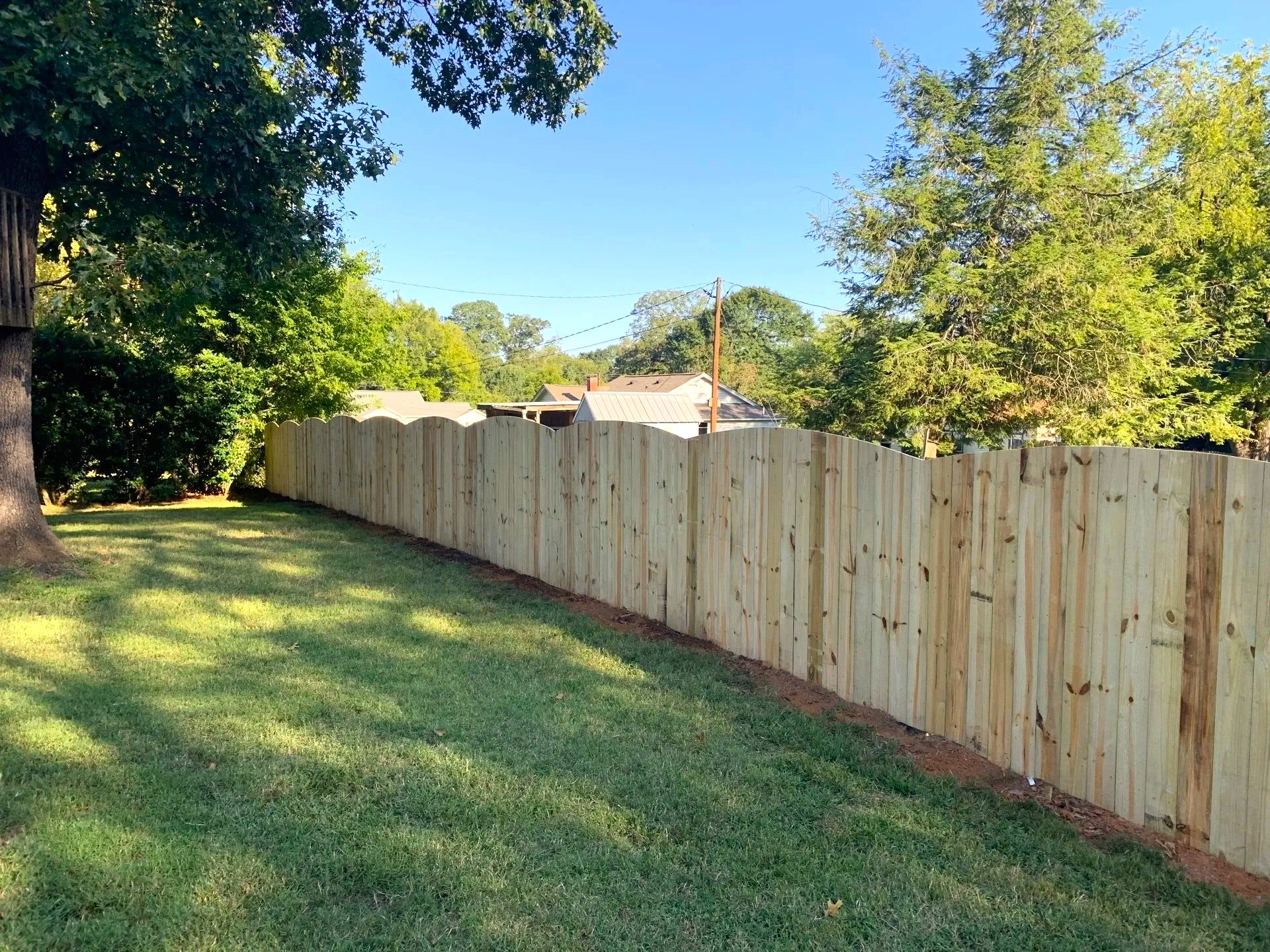 Backyard wood fence