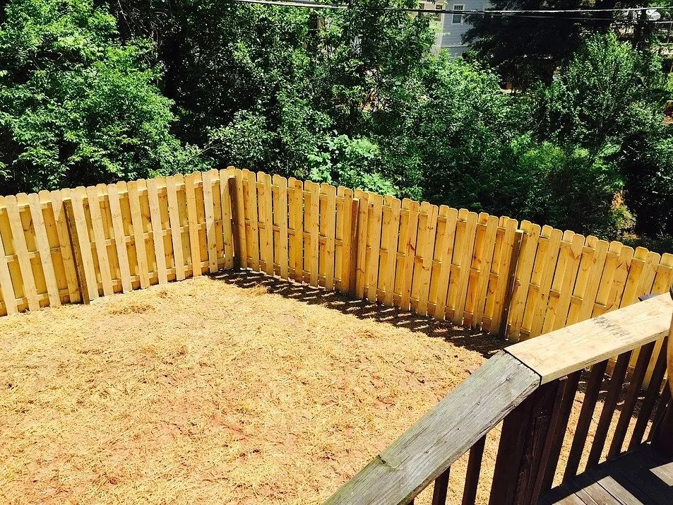 imgi 177 viq9lgfc 1920w